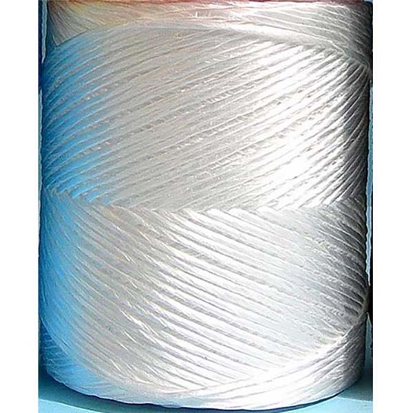 HILO RAFIA (BOBINA 750GRS.) 600 BLANCA REF. 148750 (PRODUCTOS GOL)